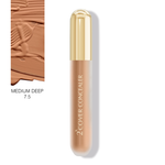 SH 2X COVER CONCEALER