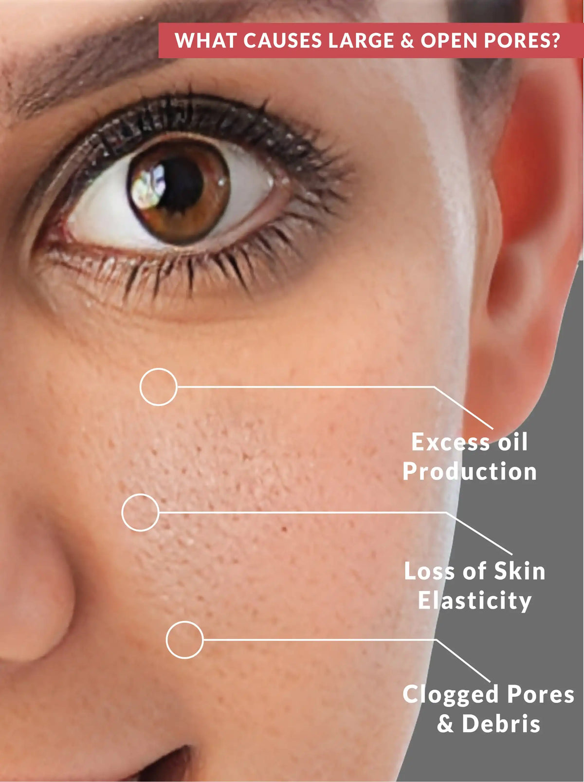 Niacinamide 10% Pore Minimizing Toner